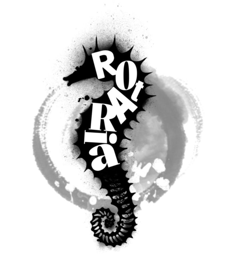 אבאירו Rota Ria Alojamento Local מראה חיצוני תמונה